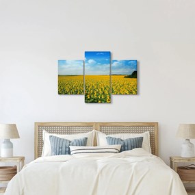 Tablou - câmp cu floarea soarelui (90x60 cm)