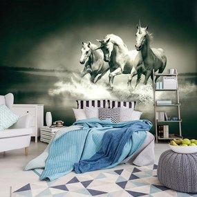 Fototapet - Unicorni galopînd pe apă (254x184 cm)