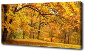Print pe canvas Toamna în parc