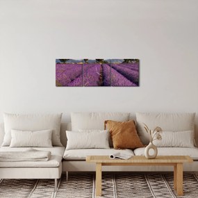 Tablou - câmp de lavandă și munți (cu ceas) (90x30 cm)