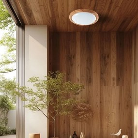 Plafonieră LED dimabilă LED/60W/230V 3000-6500K + telecomandă