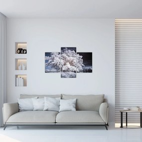 Tablou - Albă ca Zăpada Copac (90x60 cm)