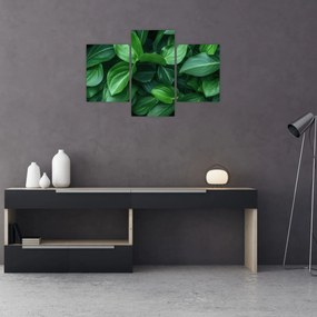 Tablou - Frunze verzi (90x60 cm)