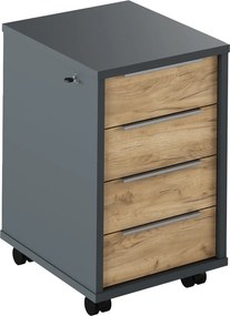 Noptiera RIOMA NEW TYP 30, stejar artisan/gri grafit, DTD laminat, cu