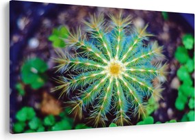 Tablou cu cactus (90x60 cm)