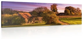 Tablou peisaj rural