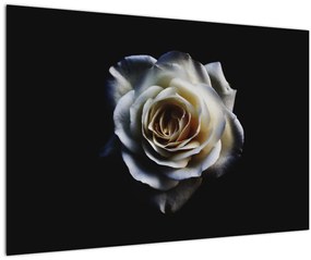 Tablou cu trandafir alb (90x60 cm)