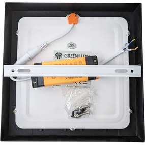 Plafonieră LED FENIX LED/12W/230V 3800K 17 cm
