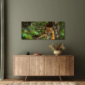 Tablou - Tigru odihnindu -se (120x50 cm)