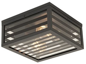 Plafoniera moderna pentru exterior cu sticlă neagră cu 2 lumini IP44 - Reims