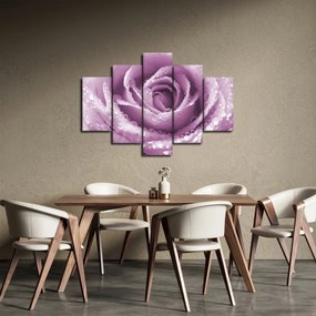 Tablou detaliu de floare de trandafir (150x105 cm)