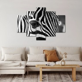 Tablou cu zebră (150x105 cm)