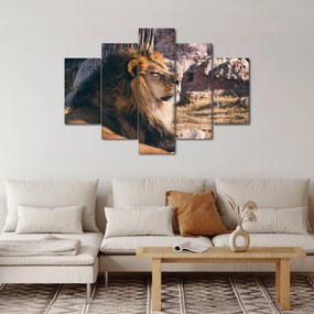 Tablou cu leul dormind (150x105 cm)