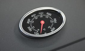 Grătar pe gaz Royal Gas L – Cattara