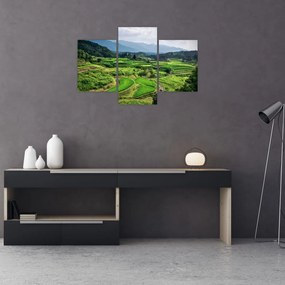 Tablou cu câmp de orez (90x60 cm)