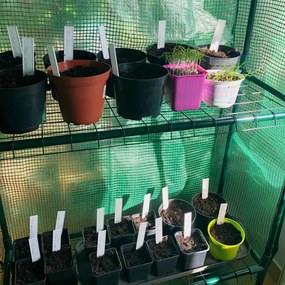 Seră de balcon 0,7x1,4x2 m