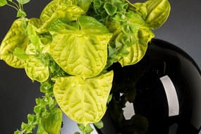 Aranjament floral design LUX ANTHURIUM 1142103.60