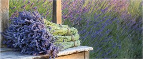 Tablou - Buchețele de lavandă (120x50 cm)