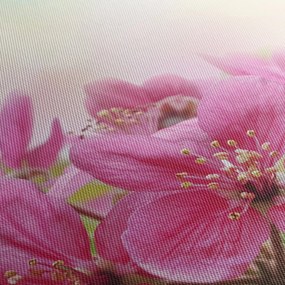 Tablou - Flori roz (cu ceas) (90x30 cm)