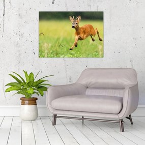 Tablou - Haită (70x50 cm)