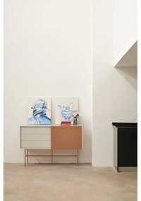 Comodă joasă cu ușă glisantă roșu cărămiziu-bej 140x91 cm Nube – Teulat