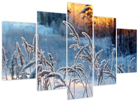Tablou - Pajiște de iarnă (150x105 cm)