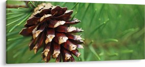 Tablou cu con (120x50 cm)