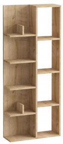 Biblioteca Living Lily, Stejar