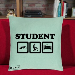 Perna Decorativa Student Life, 40x40 cm, Verde Menta, Husa Detasabila, Perna Inclusa, BEKZ®