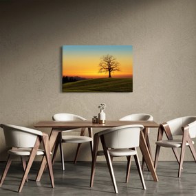 Tablou - Copacul în câmp (90x60 cm)