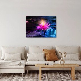 Tablou cu lotus pe apă (70x50 cm)