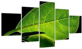 Tablou - frunză verde (125x70 cm), în 40 de alte dimensiuni noi