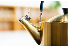 Ceainic auriu din oțel inoxidabil 1,5 l Diamante – Vialli Design