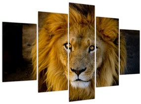 Tablou - Portret de leu (150x105 cm)