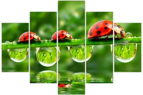 Tablou - Soarele celor șapte sori (150x105 cm)