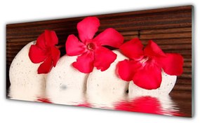 Tablouri acrilice Pietrele florale flori Roșu Alb