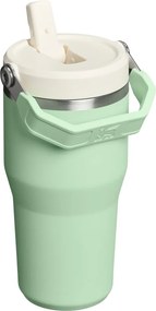 Termos verde salvie din oțel inoxidabil 600 ml IceFlow™ Flip Straw 2.0 Tumbler Pistachio – Stanley