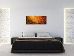 Tablou cu pădurea în toamnă (120x50 cm)