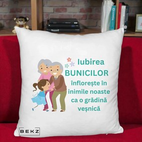 Cadou pentru Bunici - Perna Personalizata Bunicii Iubirea Infloreste cu Nepoata Teal, 40x40 cm, Alb Pufos, Husa Detasabila, Perna Inclusa, BEKZ®