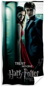 Prosop Harry Potter Don't Trust Anyone , 70 x 140cm