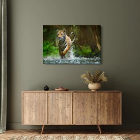 Tablou cu trigrul fugind (90x60 cm)
