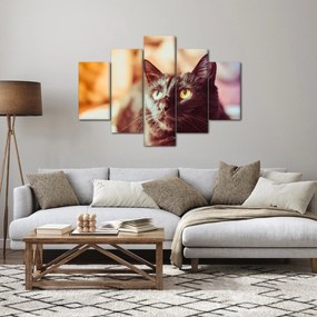 Tablou pisica neagră (150x105 cm)
