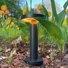 Lampă LED solară Zuma Line DT33611 CARLI LED/2W/2000 mAh IP44 negru