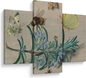 Tablou - Jan van Kessel the Elder, Insects and a Sprig of Rosemary, reproducere (90x60 cm)