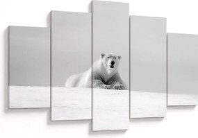 Tablou - Urs polar,alb-negru (150x105 cm)