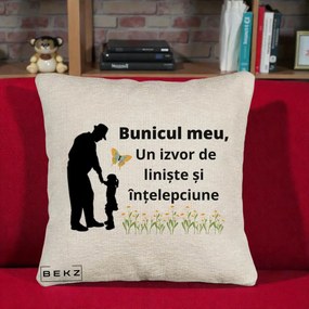 Cadou pentru Bunic - Perna Personalizata Bunicul Meu Izvor de Liniste cu Fluture si Fetita, 40x40 cm, Bej Canapea, Husa Detasabila, Perna Inclusa, BEKZ®