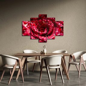 Tablou cu floarea trandafirului roșu (150x105 cm)