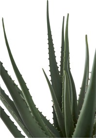 Plantă artificială de Aloe vera Ariaveta (verde). Promo -17%. 1146494