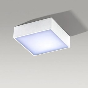 Plafoniera LED design slim FALCO 12 4000K alba