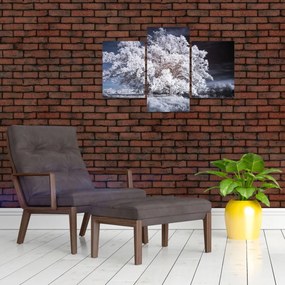 Tablou - Albă ca Zăpada Copac (90x60 cm)